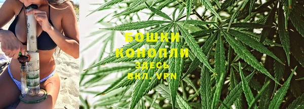 молекула духа Волоколамск