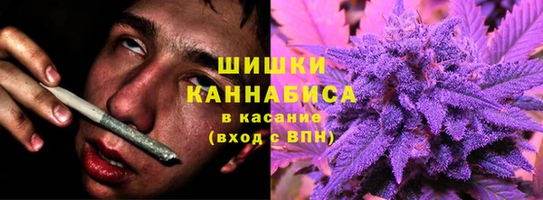 крисы Володарск