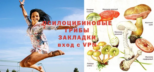 молекула духа Волоколамск