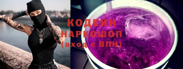 молекула духа Волоколамск