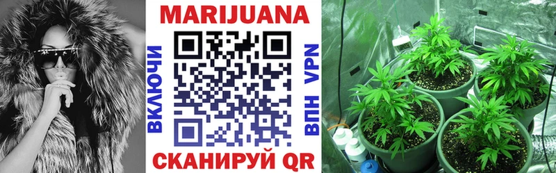 МАРИХУАНА THC 21% Перевоз